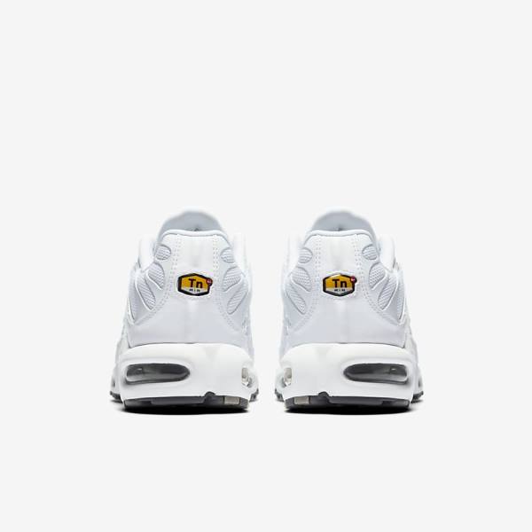 Nike Air Max Plus Miesten Tennarit Valkoinen Mustat Harmaat Valkoinen | NK294BIZ