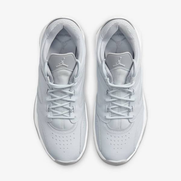 Nike Jordan Point Lane Miesten Jordan Kengät Platina Valkoinen Harmaat | NK510VRX