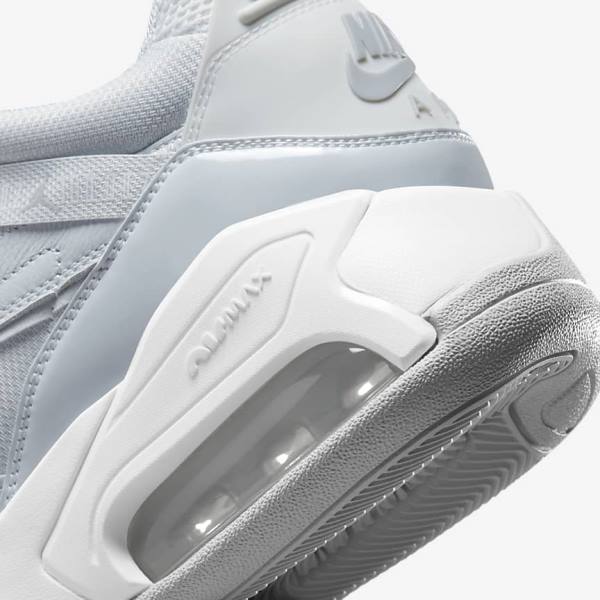 Nike Jordan Point Lane Miesten Jordan Kengät Platina Valkoinen Harmaat | NK510VRX