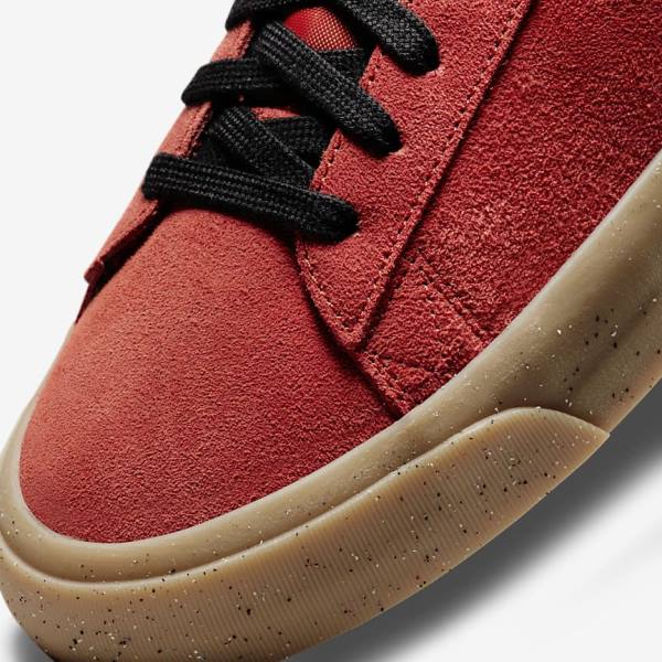 Nike SB Zoom Blazer Low Pro GT Naisten Skeittikengät Vaaleanruskea Mustat | NK974ADW